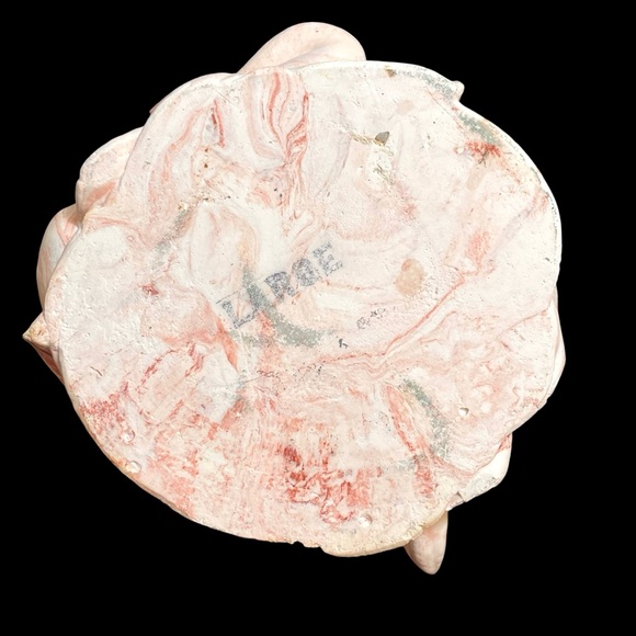 Vintage 1950s Natural Dried Coral Specimen Large Sculpture with Ceramic Base - Picture 8 of 12